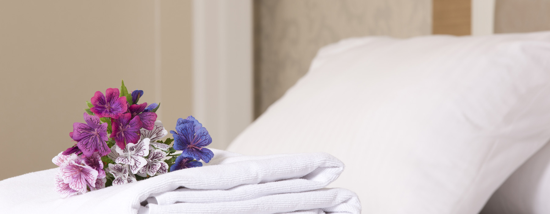Masa Hotel Almirante  header